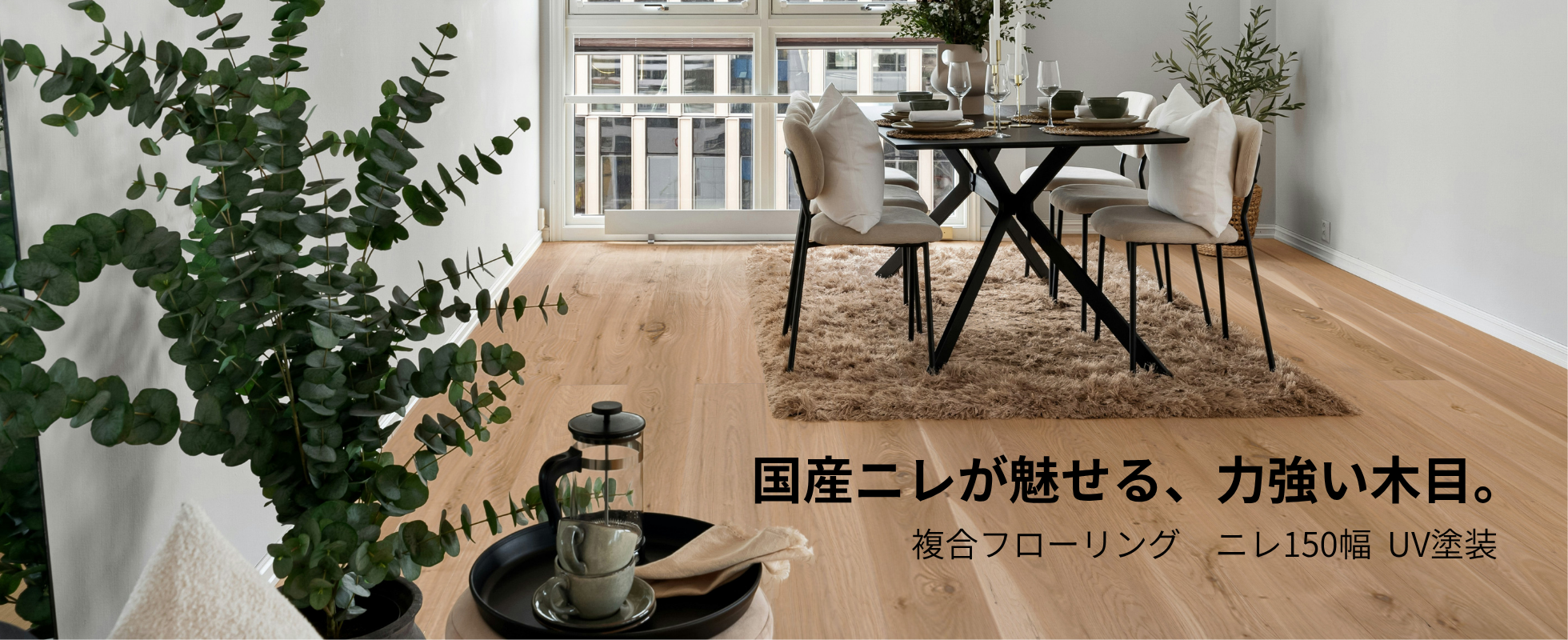 複合フローリング ニレ150幅 UV塗装 国産ニレが魅せる、力強い木目